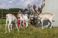 Reindeer in the Russian zoo.